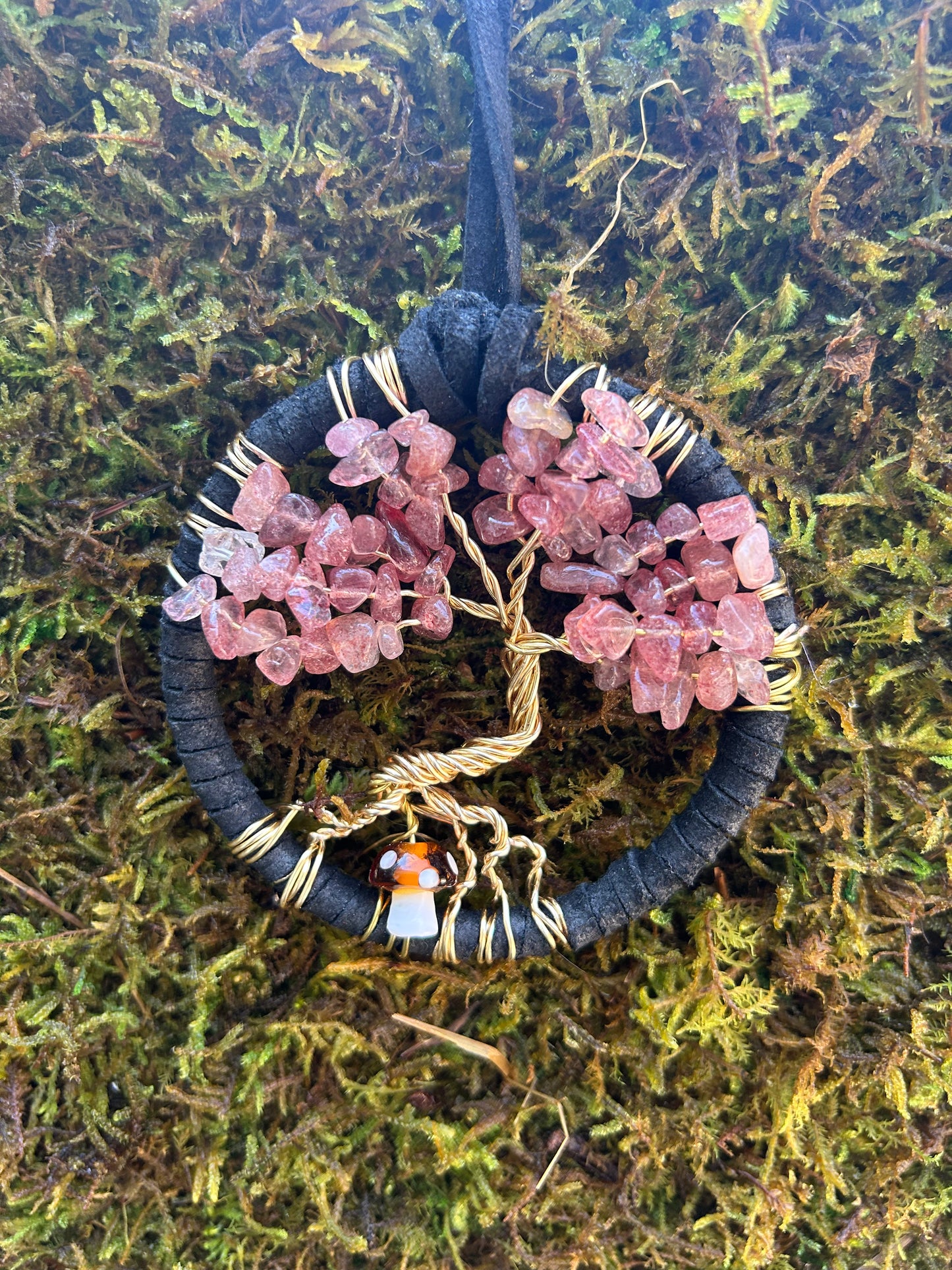 Dream Catchers by Emma Gibbs