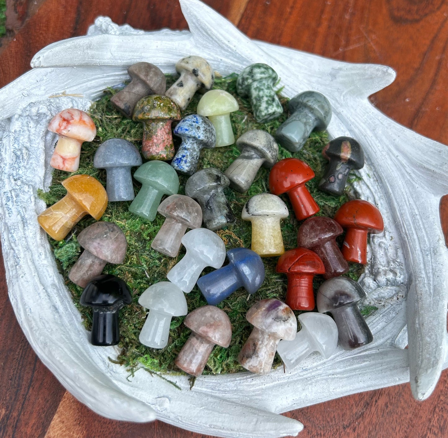 Mini Mushroom