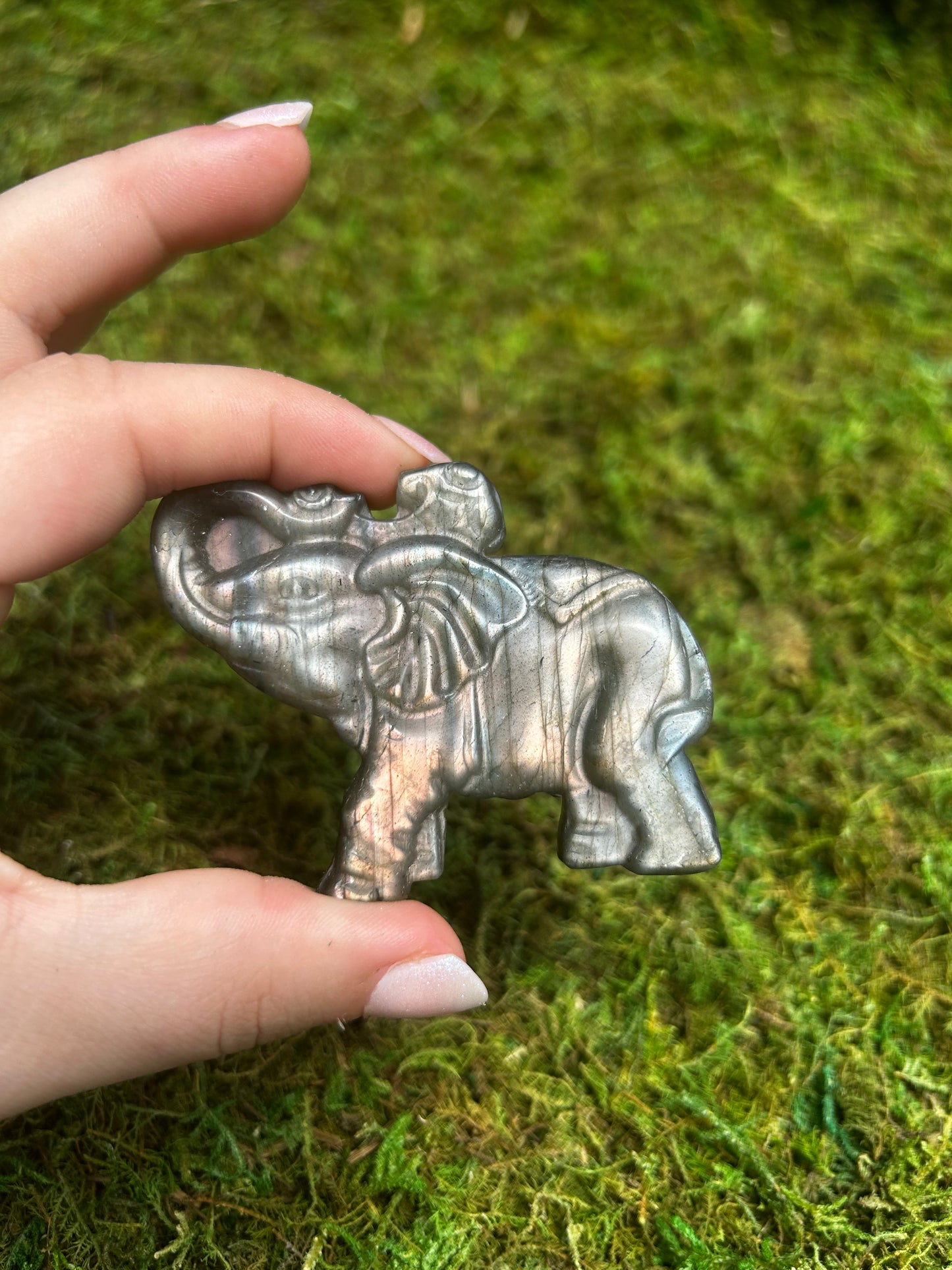 Labradorite Elephant Carving