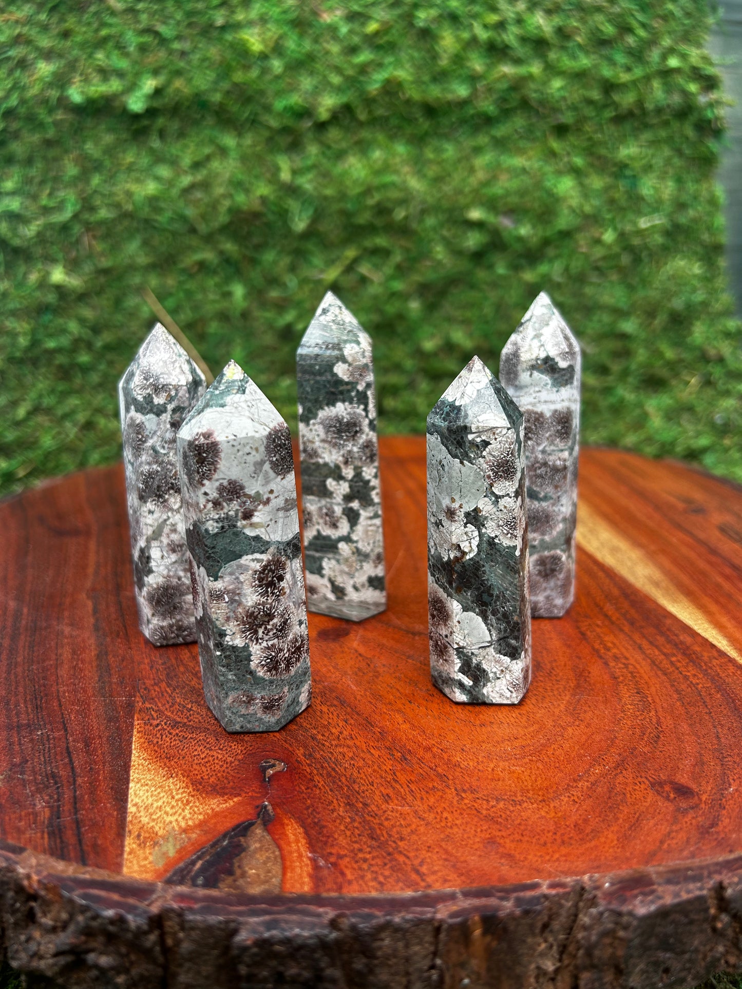 Dendritic Flower Jasper