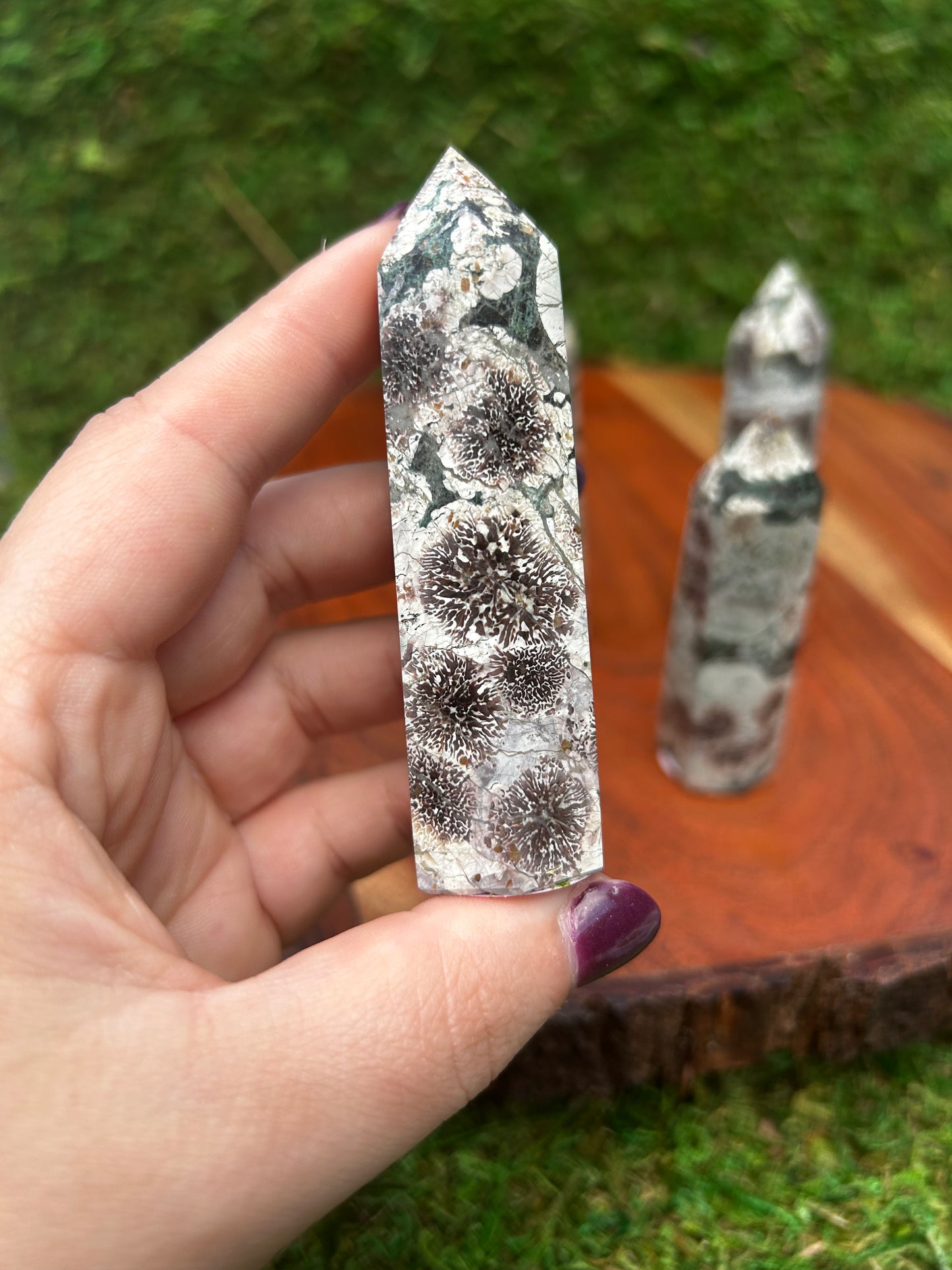 Dendritic Flower Jasper