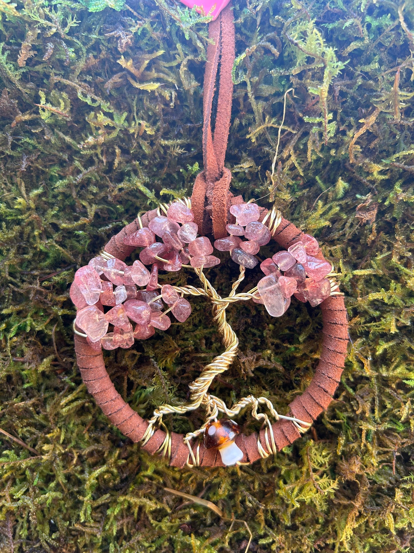 Dream Catchers by Emma Gibbs
