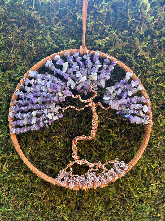 Dream Catchers by Emma Gibbs