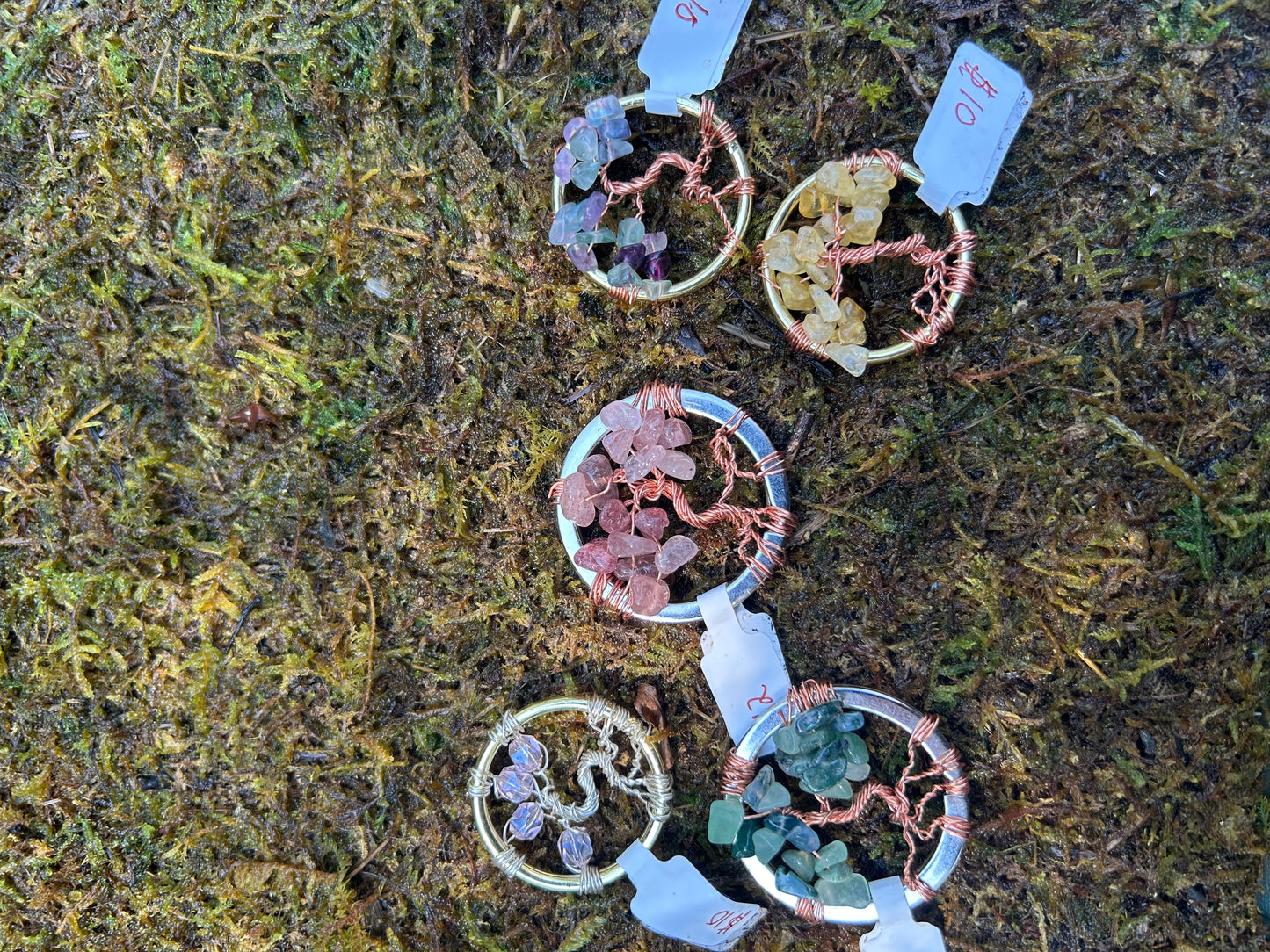 Dream Catchers by Emma Gibbs