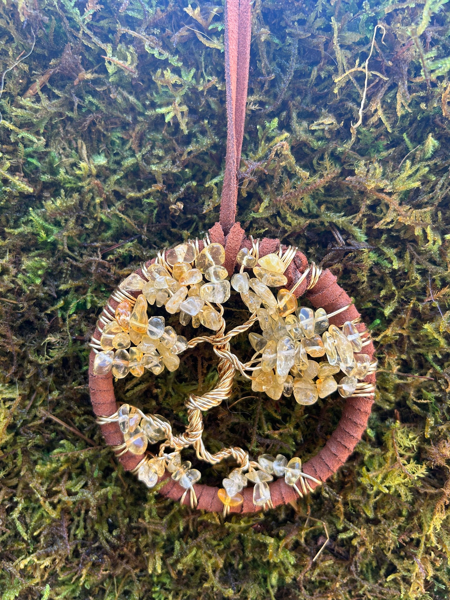 Dream Catchers by Emma Gibbs