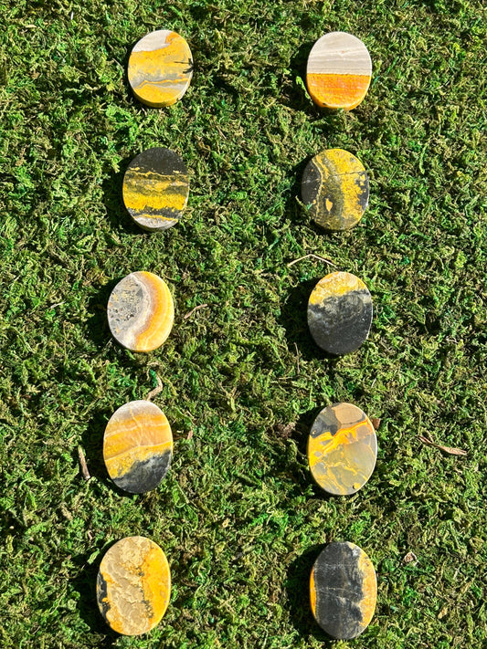 Bumblebee Jasper Cab